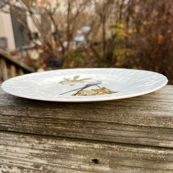 Meakin Band-Tailed Pigeon #367 and  # 168 Fork-Tailed Flycatcher 8.75” Plate Set - Picture 5 of 13